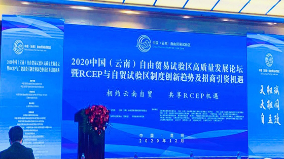 展望数字货币在边境贸易中的应用|南天信息参加2020中国（云南）自由贸易试验区高质量发展论坛