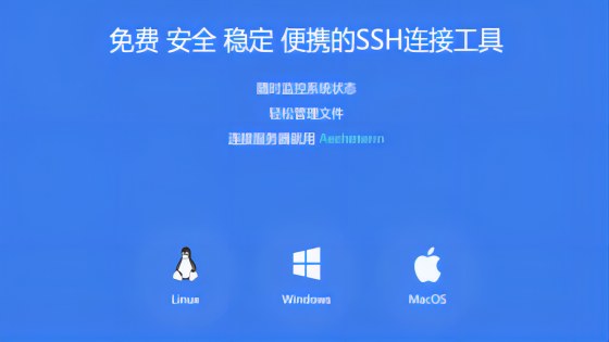 多平台兼容的远程终端模拟工具——Aechoterm
