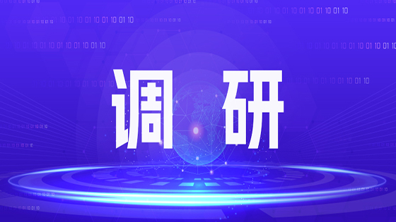 【转载】工投集团党委书记、董事长王国栋到广州南天公司、深圳南天东华公司调研