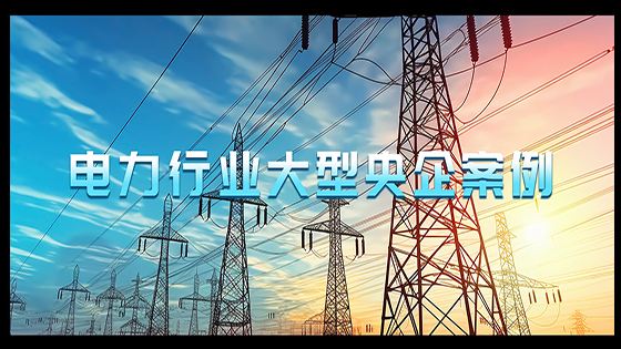 大型央企案例｜南天信息大模型赋能客户智能化新征程